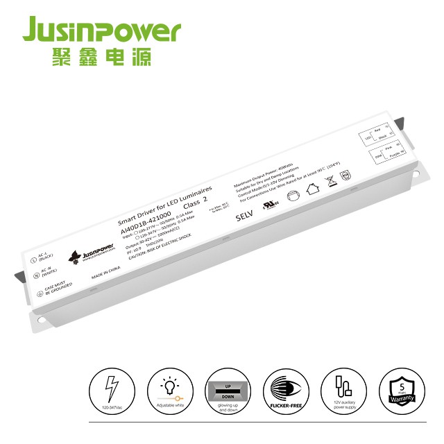 Driver LED bianco regolabile da 40 W